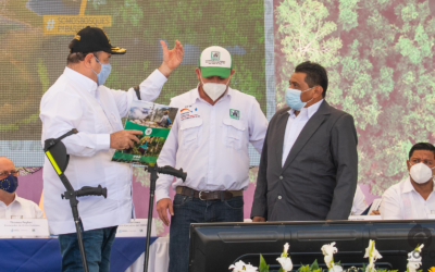 Mesoamerica celebrates approval of extension for Forestry Concessions in Petén