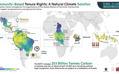 Indigenous peoples and local communities own 958 million hectares of the world’s tropical forests