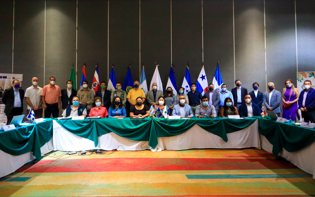 Indigenous peoples and forest communities consolidate forest governance in the region through dialogue