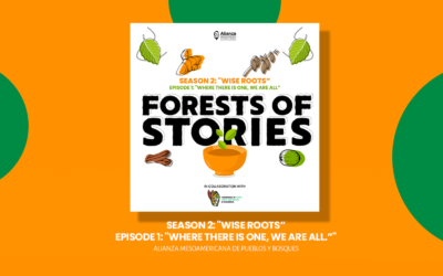 Second season of “Forests of Stories” addresses the traditional medicine of indigenous peoples and local communities