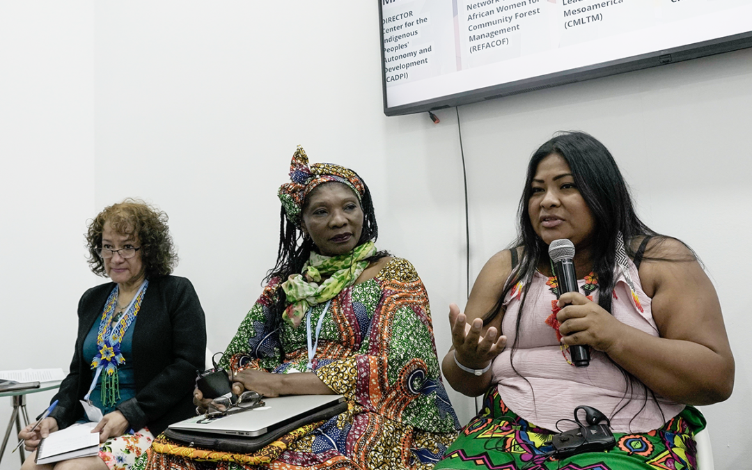 At CoP27, 41 grassroots women’s organizations launch new Global South Alliance for Indigenous and local women and girls