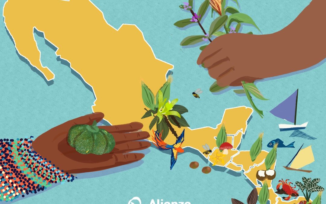 Eight organizations of Indigenous Peoples and Local Communities present their first systematization, “Indigenous and Community Economy in Mesoamerica”