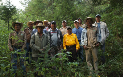 Indigenous and local community organizations from Mesoamerica will engage in dialogue with international cooperation regarding direct climate financing in their territories