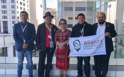 Líderes de AMPB y Relatora Especial sobre Pueblos Indígenas analizan situación de derechos territoriales en Mesoamérica