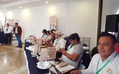 Pueblos indígenas y forestales de Mesoamérica declaran apoyo a la Amazonía brasileña