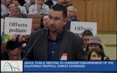 AMPB y Alianza Global aportan recomendaciones a Normas de Bosques Tropicales en California