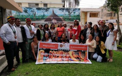 Comisión de Género de la AMPB participa en la reunión del Consejo de Mujeres de la COICA