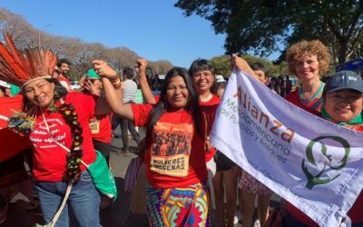 Mesoamericanas presentes en histórica marcha de mujeres indígenas en Brasil