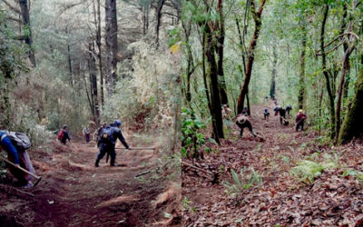 Comunidades de la Red Utz Che’ en Guatemala enfrentan incendios forestales con prácticas ancestrales como el k’axk’ol