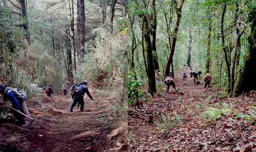 Comunidades de la Red Utz Che’ en Guatemala enfrentan incendios forestales con prácticas ancestrales como el k’axk’ol