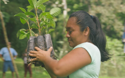 Fondo Territorial Mesoamericano lanza convocatoria para financiamiento de propuestas incluyentes hacia cambio climático desde territorios