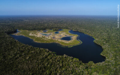 Selva Maya y Amazonía en intercambio sobre Forestería Comunitaria