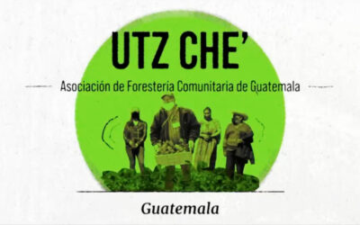 Utz Che’ de Guatemala recibe Premio Ecuatorial por inspirar al mundo en la coexistencia con la naturaleza