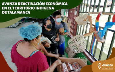 Avanza reactivación económica en el territorio indígena de Talamanca