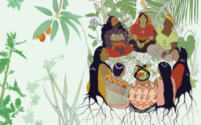 Farmacias Vivientes de Mesoamérica: sanadoras comunitarias comparten conocimiento ancestral en nuevo libro