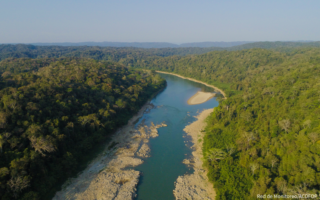 ACOFOP es elegido como observador de América Latina y el Caribe ante el Fondo Cooperativo para el Carbono de los Bosques