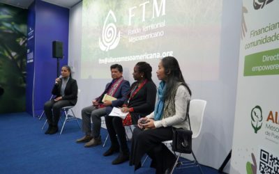 Pueblos indígenas y comunidades locales de Mesoamérica presentan mecanismo de financiamiento directo a comunidades para acción climática de alto impacto