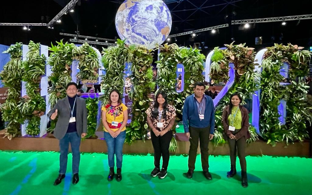 La Alianza Mesoamericana de Pueblos y Bosques ha llegado a COP26