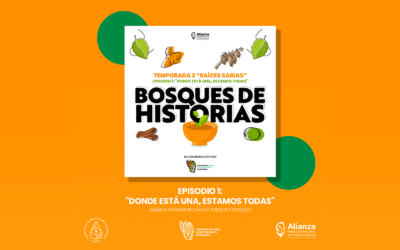 Segunda temporada de ‘Bosques de Historias’ aborda la medicina tradicional de los pueblos indígenas y comunidades locales