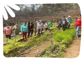 img-emprendimiento-vivero-honduras