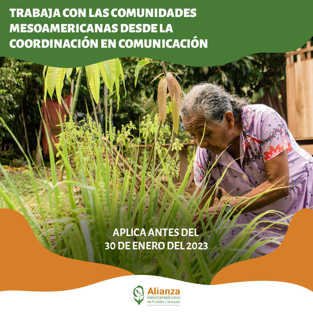Consultoría: Coordinación de comunicación para la iniciativa Alianza Mesoamericana de Pueblos y Bosques