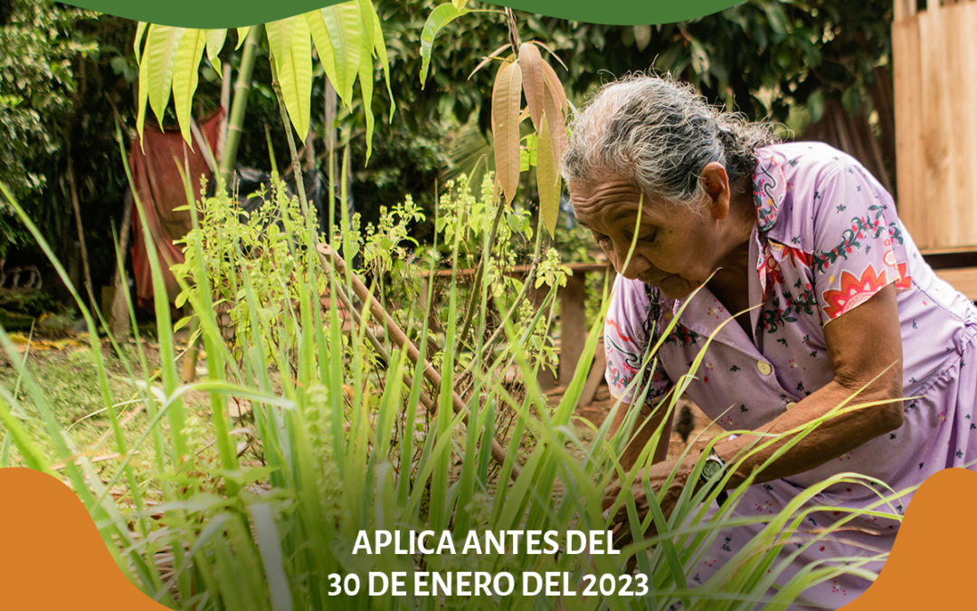 Consultoría: Coordinación de comunicación para la iniciativa Alianza Mesoamericana de Pueblos y Bosques