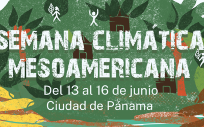 Guardianes de los Bosques de Mesoamérica convocan a la primera Semana Climática desde los Pueblos Indígenas y las Comunidades Locales